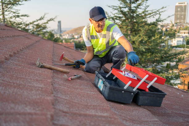 Best Storm Damage Siding Repair  in Pine Hills, CA